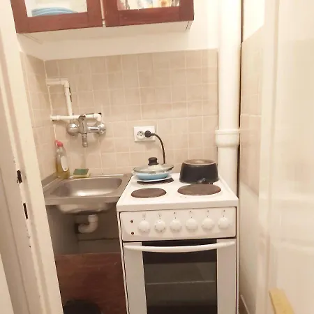 Dedinje Vma Apartment