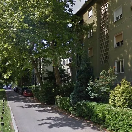 Dedinje Vma